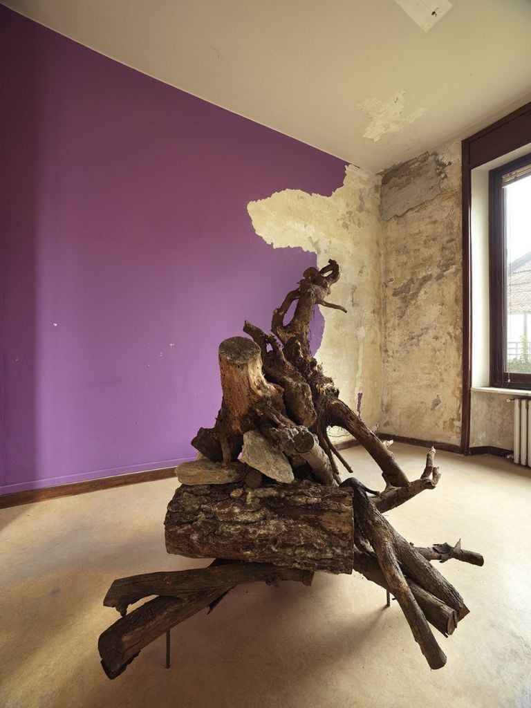 Mike Nelson. The House of the Farmer. Installation view at Palazzo dell’Agricoltore, Parma 2021. Photo Lucio Rossi