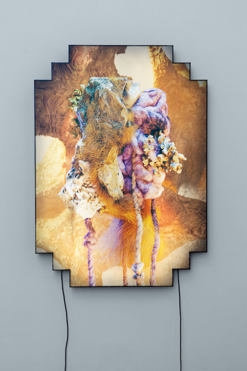 Oscar Santillán, Antibeing (0A), 2021, print on plexiglas in lightbox, cm 140x100. Courtesy the artist & Galleria Tiziana Di Caro. Photo Danilo Donzelli