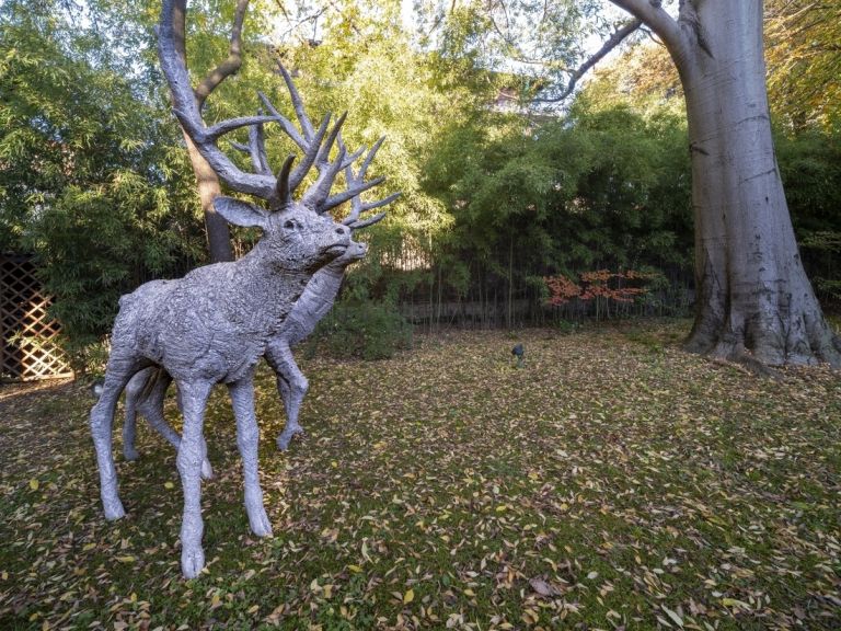 PAOLO GRASSINO PARCO fabiooggero