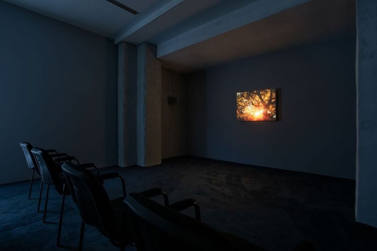 Tacita Dean. Sigh, Sigh, Sigh. Exhibition view at Fondazione Nicola Del Roscio, Roma 2021. Photo Daniele Molajoli