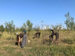 Tra campagna e città. Soulfood Forestfarms. Photo Claudia Zanfi