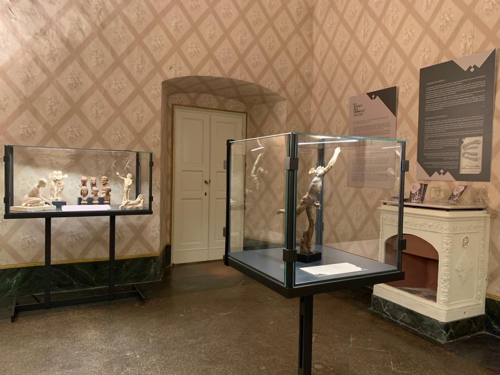Allestimento “La stanza dei modelli”. Sculture restaurate dal Museo Ginori