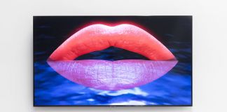 Agnieszka Polska, I Am the Mouth II, 2016, HD video. Courtesy Galleria Enrico Astuni