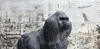 Elena Engelsen, Gorilla. Courtesy Galleri Brandstrup