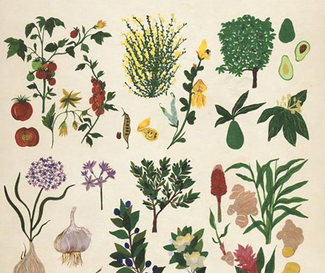 9 libri per chi ama piante e fiori