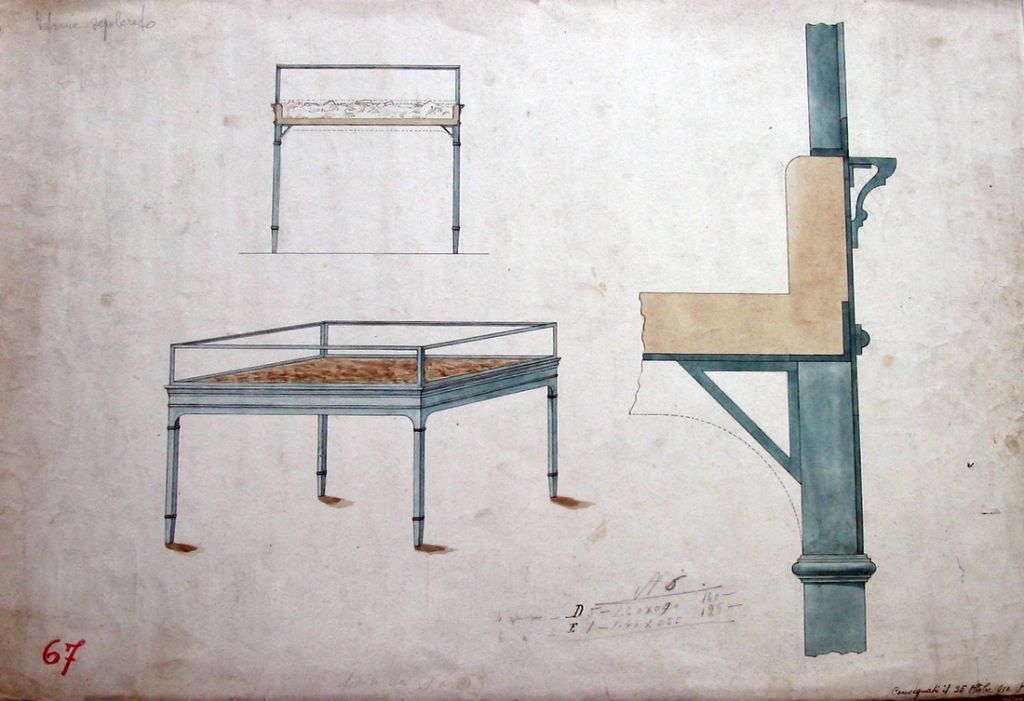 al-parco-del-colosseo-la-mostra-sull-archeologo-giacomo-boni