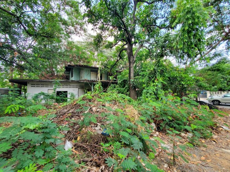 Il Somsed Temporary Cultural Center alla Thailand Biennale Korat 2021