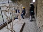 Cavallo di Maiuri a Pompei: Laser Scanner