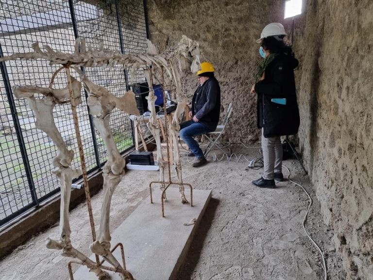 Cavallo di Maiuri a Pompei: Laser Scanner