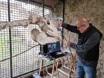 Cavallo di Maiuri a Pompei: Laser Scanner