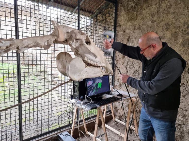 Cavallo di Maiuri a Pompei: Laser Scanner