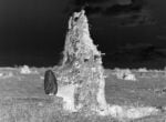 Michele Guido, Xylella Project, 2017 21, fotografie 11x15 cm, in b n stampate con processo Durts Lambda su carta llford, vetri a.r. luxar 26 x 60 cm, gesso, acciaio