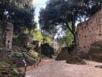 Serra Moresca, Villa Torlonia, Crediti Giorgia Basili