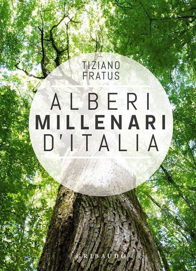 Tiziano Fratus – Alberi millenari d'Italia (Gribaudo, Torino 2021)