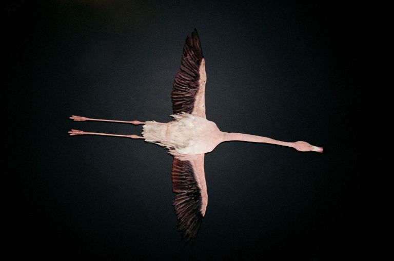 © Giulia Agostini Untitled Giovani fotografi italiani in mostra in 11 città del mondo. L’iniziativa di Ministero degli Esteri