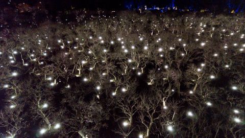 25281 L'arte contemporanea trasforma un giardino centenario in Giappone