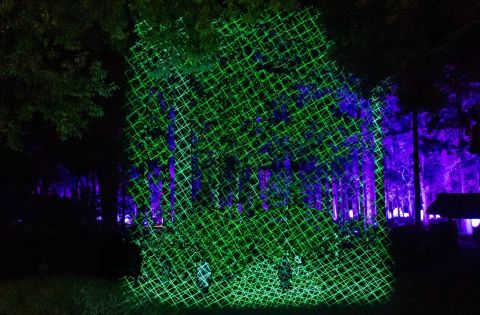 25335 L'arte contemporanea trasforma un giardino centenario in Giappone