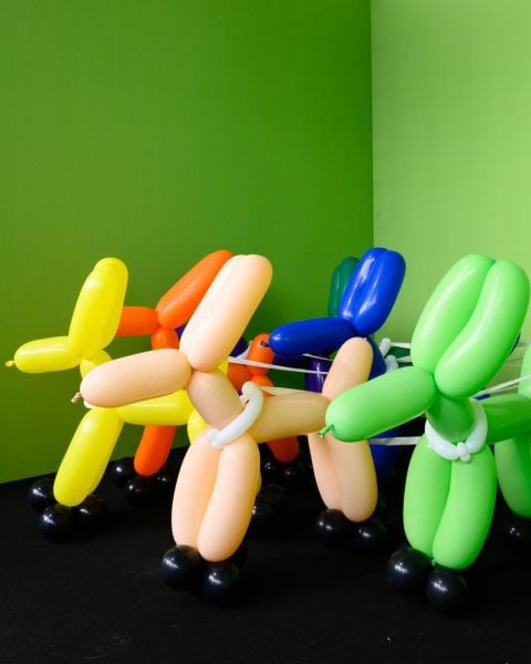 Balloon Museum