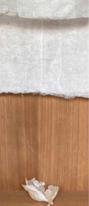 Bruna Esposito, Lungimiranti, 2021, legno, carta Hanji fatta a mano, oro zecchino, buccia di cipolla, 70x60x10 cm