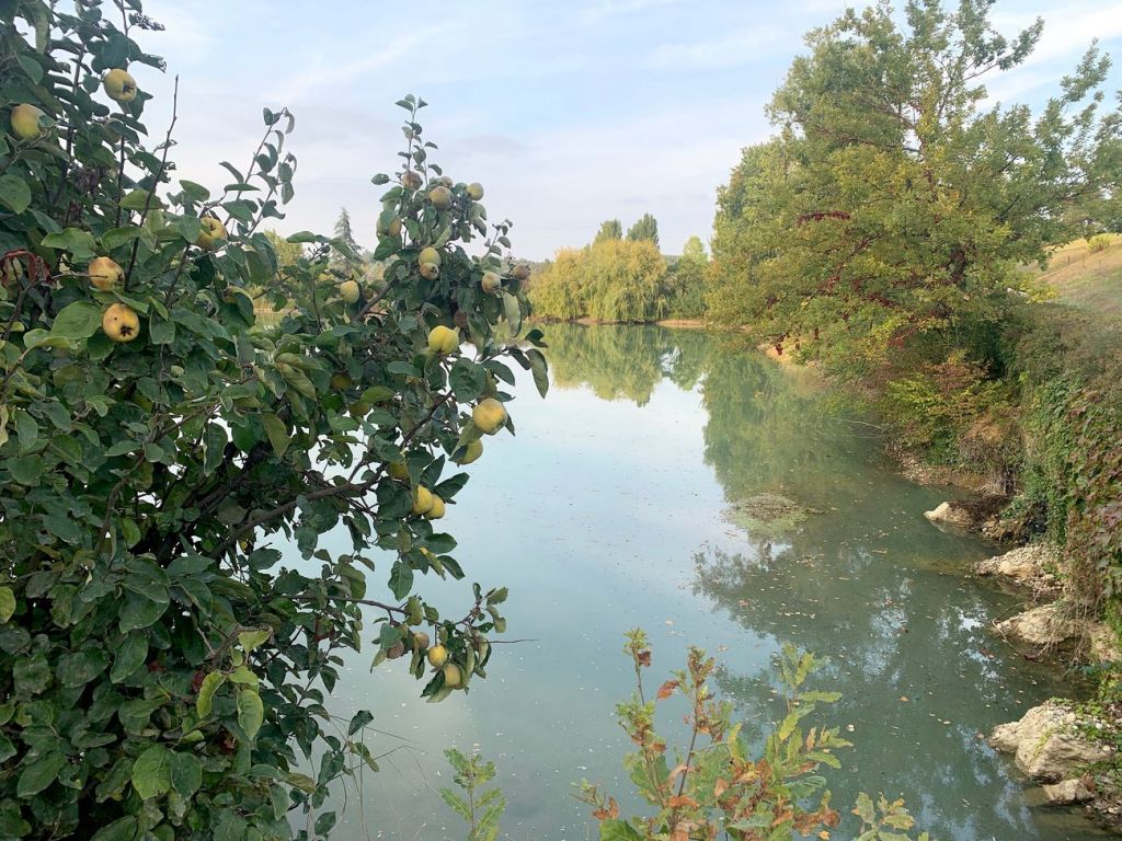 Arte tra le vigne. L’esempio di Fondazione La Raia