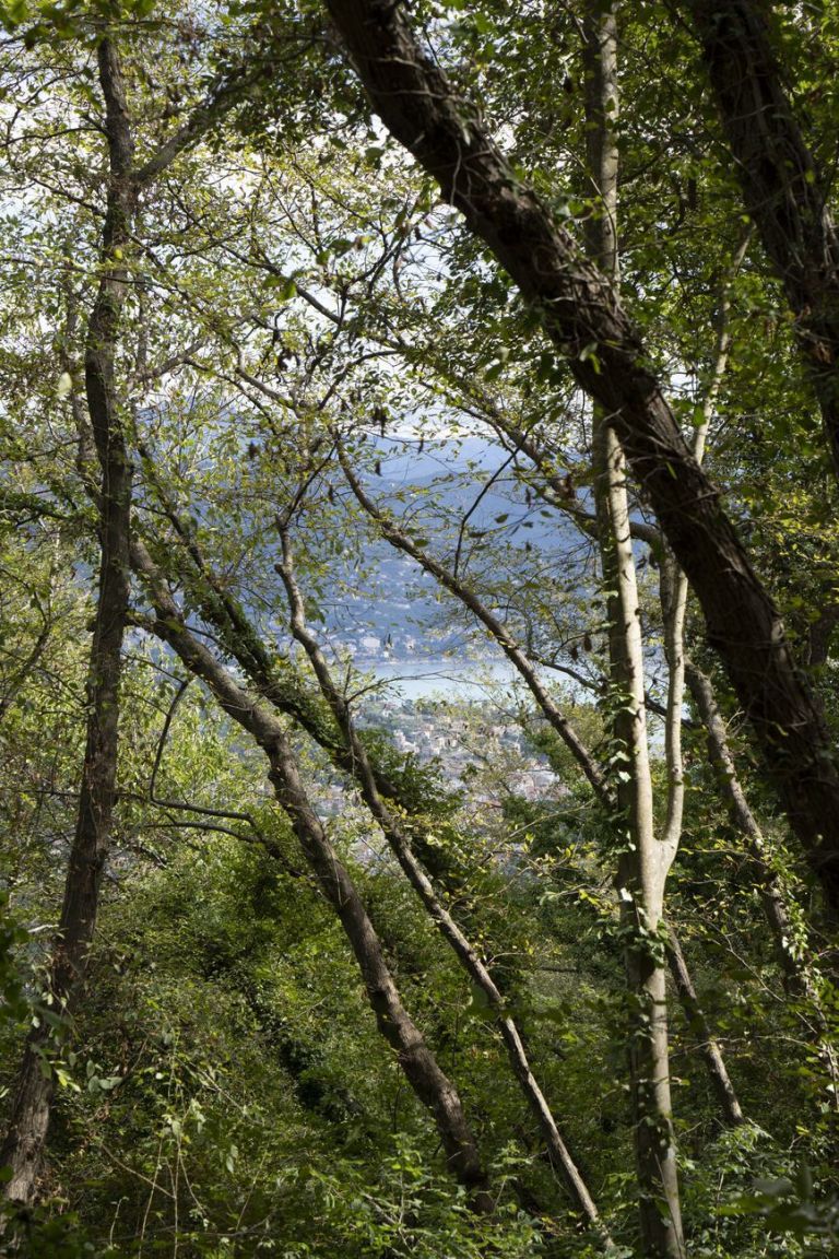 Gaia Cambiaggi, Monte di Portofino, 2021. Courtesy l'artista