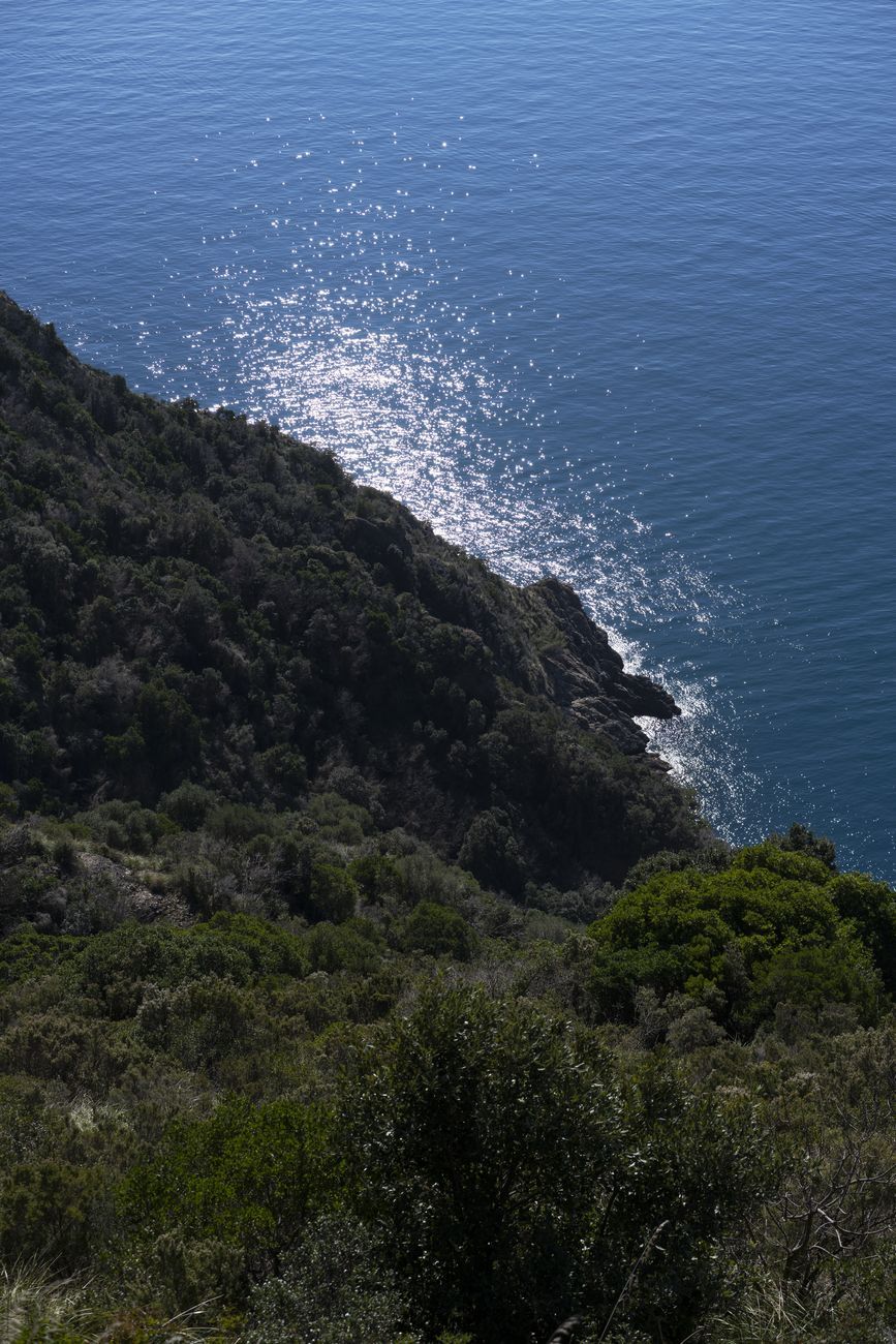 Gaia Cambiaggi, Monte di Portofino, 2021. Courtesy l'artista