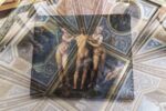 Installation Ph. N. Ara ©​ Galleria Borghese