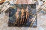 Installation Ph. N. Ara ©​ Galleria Borghese