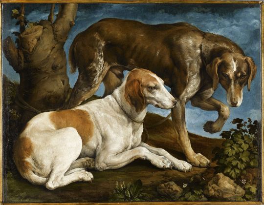 Jacopo Bassano, Ritratto di due cani legati a un tronco, 1548-50 ca.. Musée du Louvre, Parigi