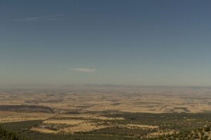 Yeast: dalla Puglia il progetto di visual storytelling sulla biodiversità umana