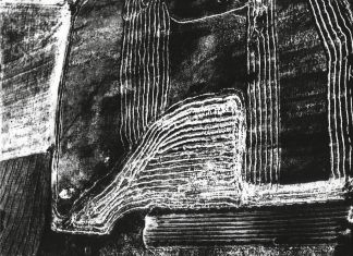 Mario Giacomelli, Presa di coscienza sulla natura (Omaggio ad Alberto Burri), 1976