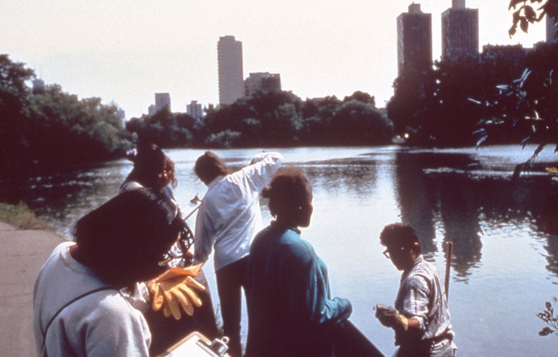 Mark Dion, Chicago Urban Ecology Action Group - Culture in Action, 1992-93