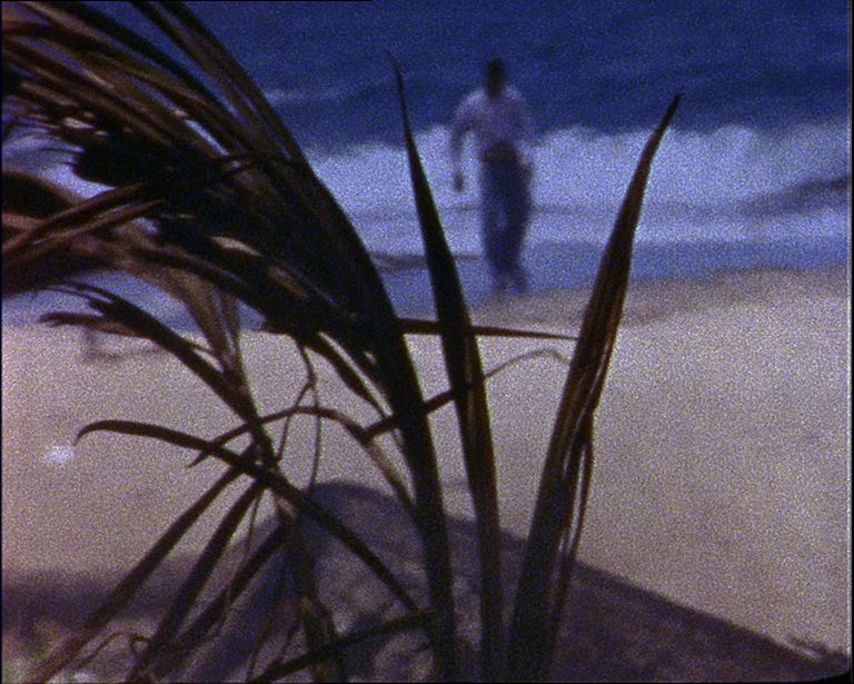 Steve McQueen Caribs’ Leap, 2002 (still) Film super 8mm a colori, trasferito su video, suono, 12’ 6’’ © Steve McQueen Commissionato da Documenta e Artangel Courtesy l’artista, Thomas Dane Gallery e Marian Goodman Gallery