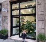 Palma a Roma. Il negozio di piante dell'artista Gabriele De Santis