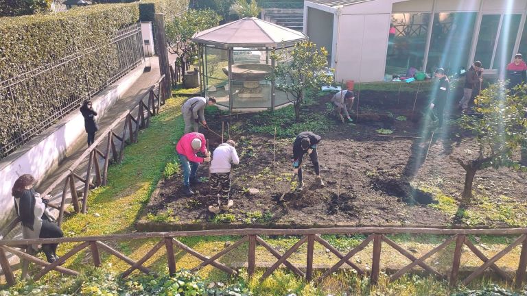 Al lavoro nella vigna di Villa Giulia per impiantare le viti