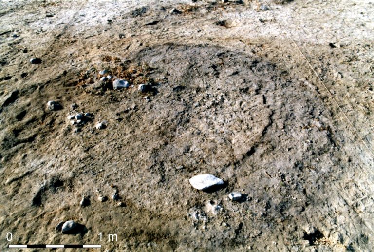 Brush hut 1 at the beginning of excavation. The dark oval shape is distinct on the surface, before digging and exposing the floors. View to the south,Credit photo Dani Nadel