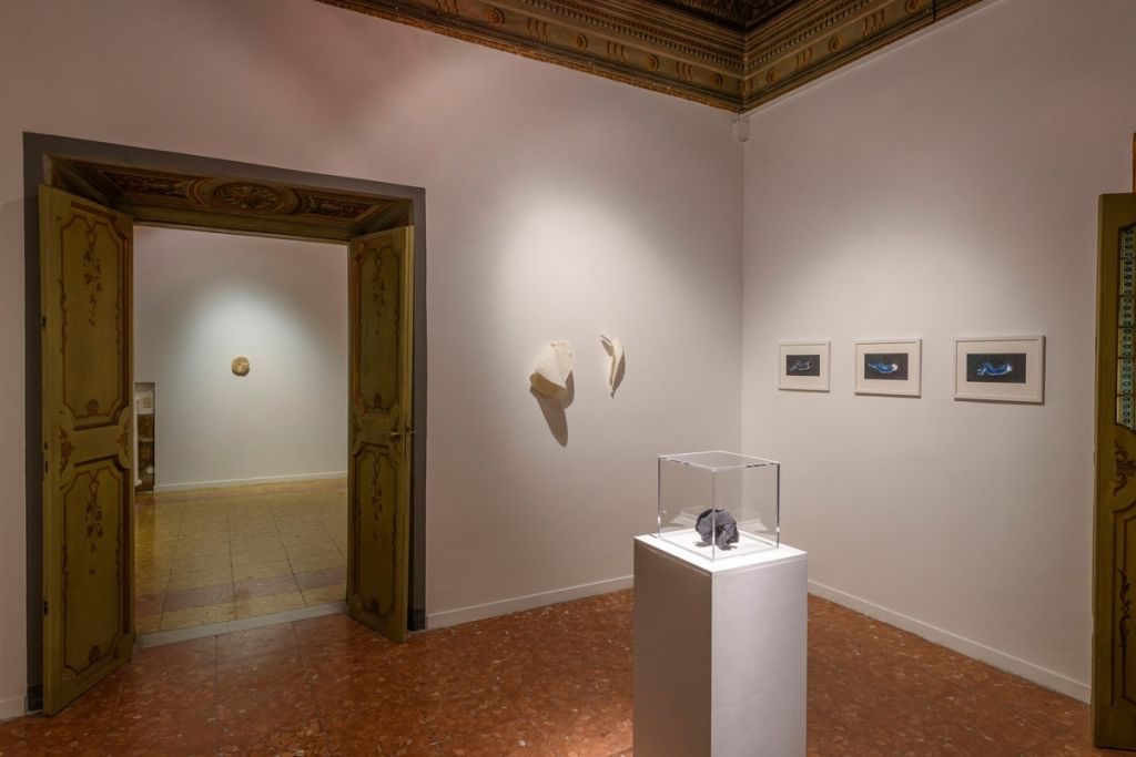 Arte e vita nella mostra di Federica Luzzi a Roma
