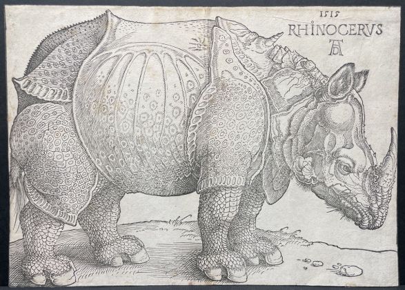 Galerie Martinez D. Albrecht Dürer, Le Rhinocéros, 1515
