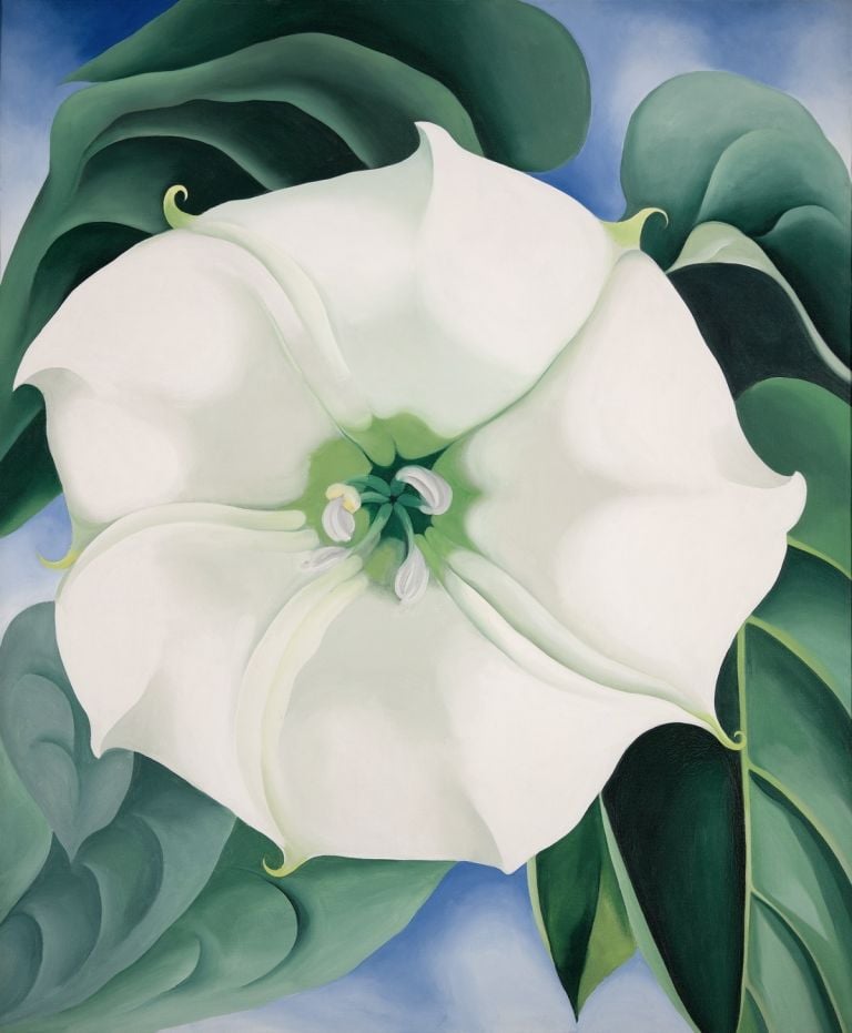 Georgia O’Keeffe, Jimson Weed White Flower No. 1, 1932. Crystal Bridges Museum of American Art, Bentonville, Arkansas © Georgia O’Keeffe Museum 2021, ProLitteris Zurich Foto Edward