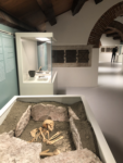 Nuovo Museo Archeologico Nazionale di Verona, crediti Giorgia Basili