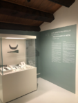 Nuovo Museo Archeologico Nazionale di Verona, crediti Giorgia Basili