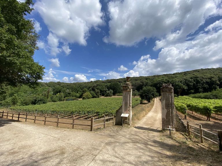 La Vigna del Re alla Reggia di Caserta