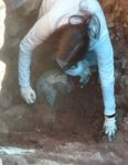 La scoperta del Tempio di Atena a Velia, Archeologi al lavoro