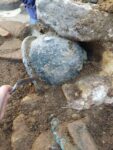 La scoperta del Tempio di Atena a Velia, Scavo in corso, particolare elmo