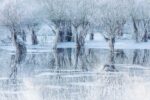 Lake of ice by Cristiano Vendramin, Italy ©Cristiano Vendramin, Wildlife Photographer of the Year (1200x800) (1)