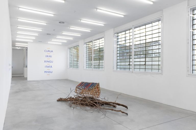 Lothar Baumgarten. Exhibition view at Galleria Franco Noero, Torino 2022