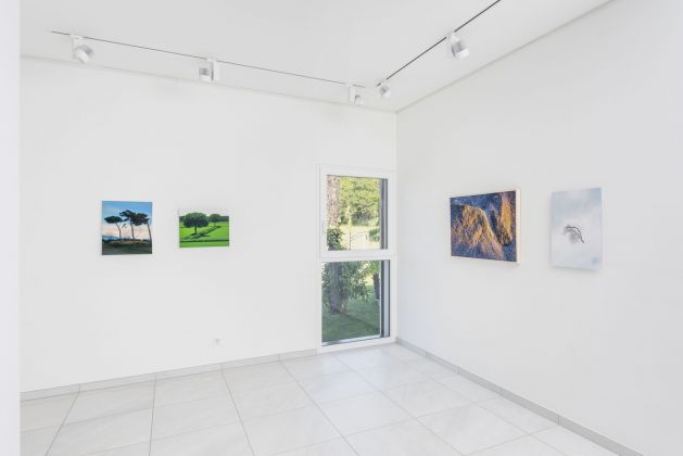 Natura Struttura. Exhibition view at Folini Arte, Lugano 2021