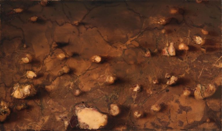 Nicola Samorì, Le pietre, 2022, olio su breccia di Vendome, 24,5 x 41,5 cm. Courtesy l'artista & Monitor, Roma Lisbona Pereto