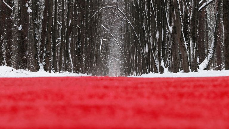 Nikita subbotin2 Un lungo “red carpet” attraversa la foresta russa innevata
