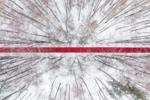 Un lungo “red carpet” attraversa la foresta russa innevata